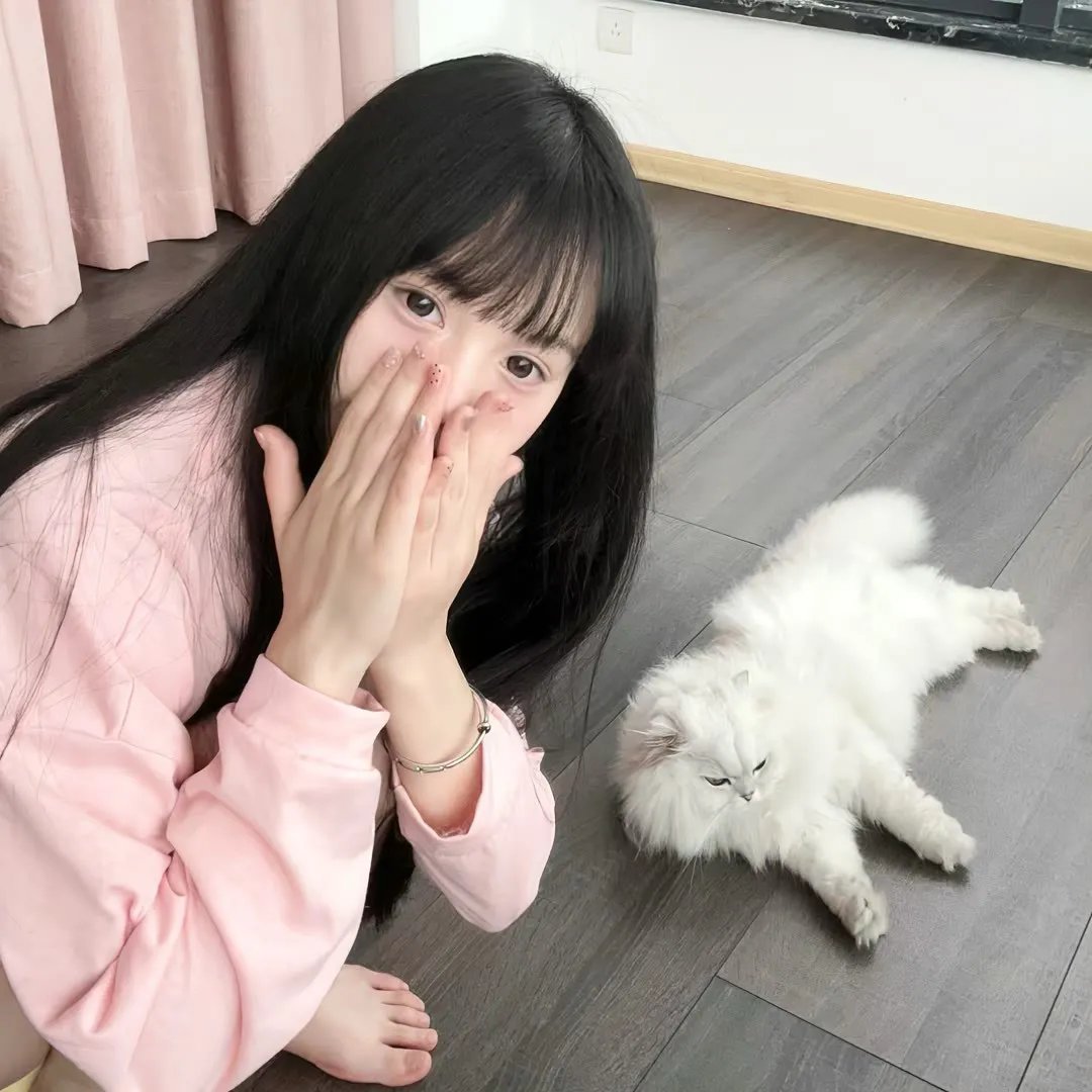 泰山和美人鱼